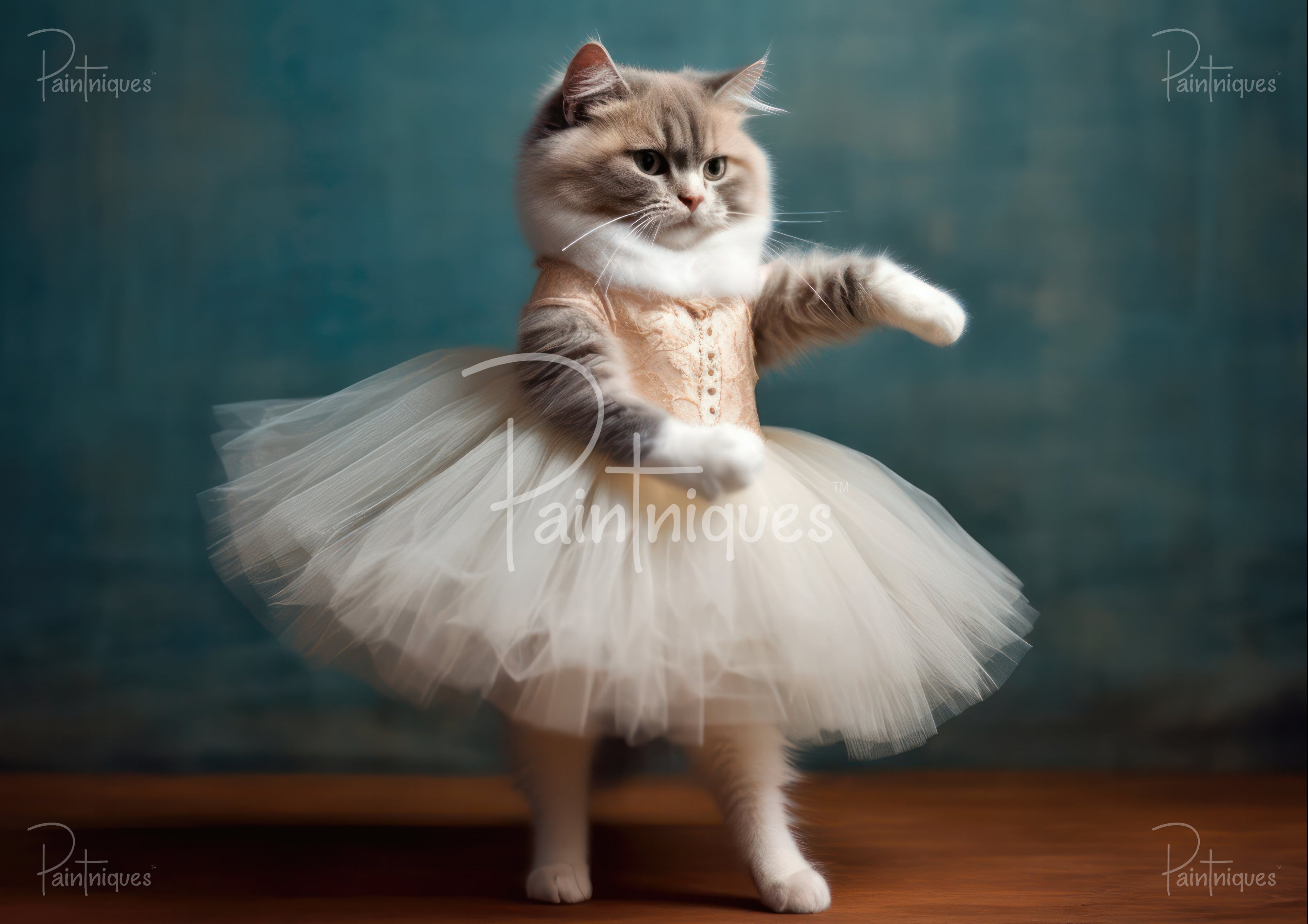 Fluffy gray-and-white cat wearing a pale tulle tutu and corset, posed mid-dance against a soft teal background.