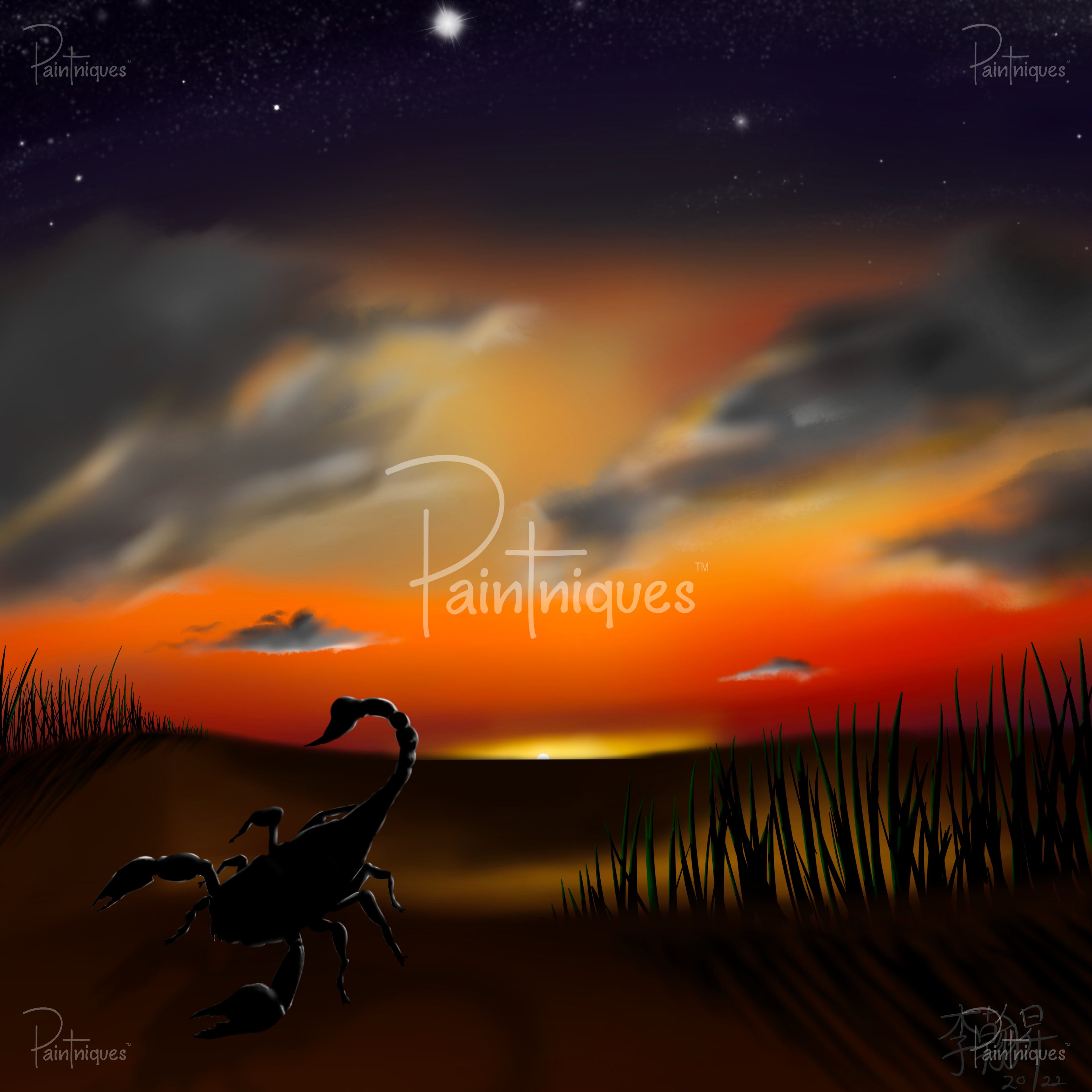 Sunset sky of orange and deep purple with stars and clouds, silhouetted scorpion on sand and tall marsh grasses