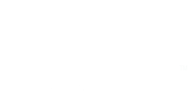 Paintniques