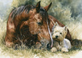 Watercolor illustration of a brown horse with a white muzzle and a tan Westie dog lying in tall grass.
