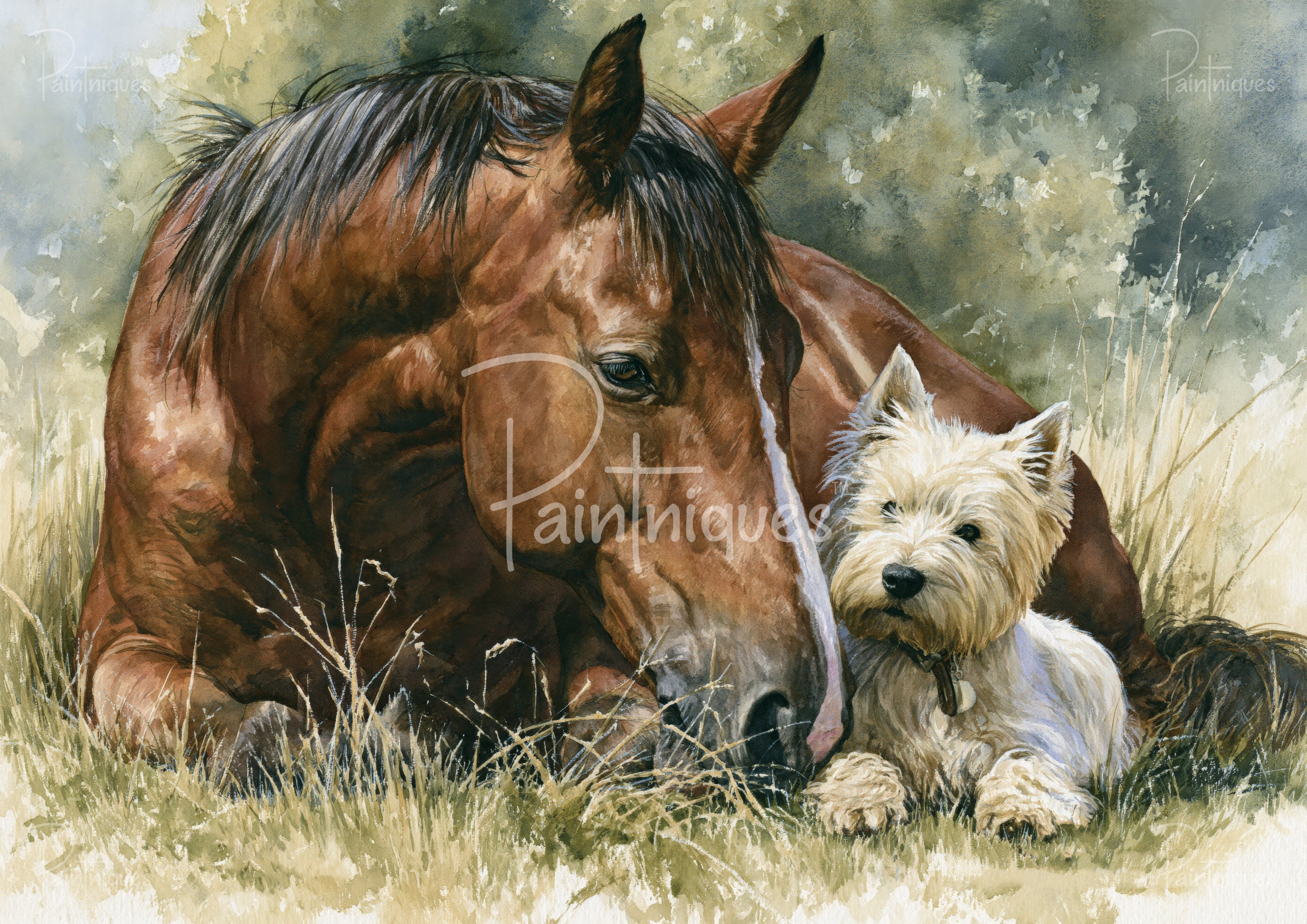 Watercolor illustration of a brown horse with a white muzzle and a tan Westie dog lying in tall grass.