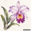 A watercolor painting of a purple orchid with ruffled petals and a yellow-orange center, supported by green leaves.