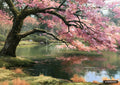 Oil painting of a cherry blossom tree with pink blooms overhanging a still lake. Green grassy banks and dry grasses.