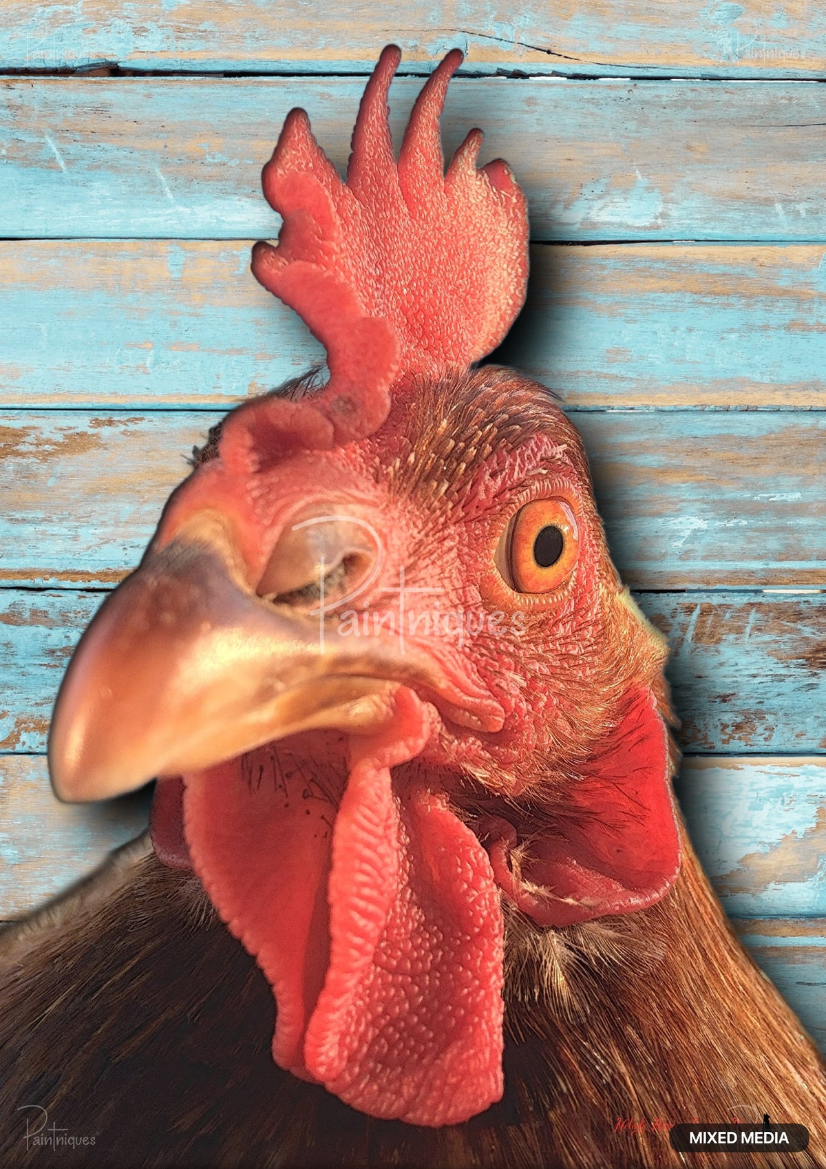 Close-up of a rooster head with a red comb and wattle against a distressed light blue wooden plank background.
