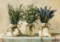 Oil painting of three herb bunches. Rosemary and lavender tied in cloth bags with twine, thyme in a jar.