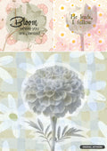 Three designs: "Bloom where you are planted" text with pink flowers; "He leads, I follow" text with a tulip; large halftone flower.
