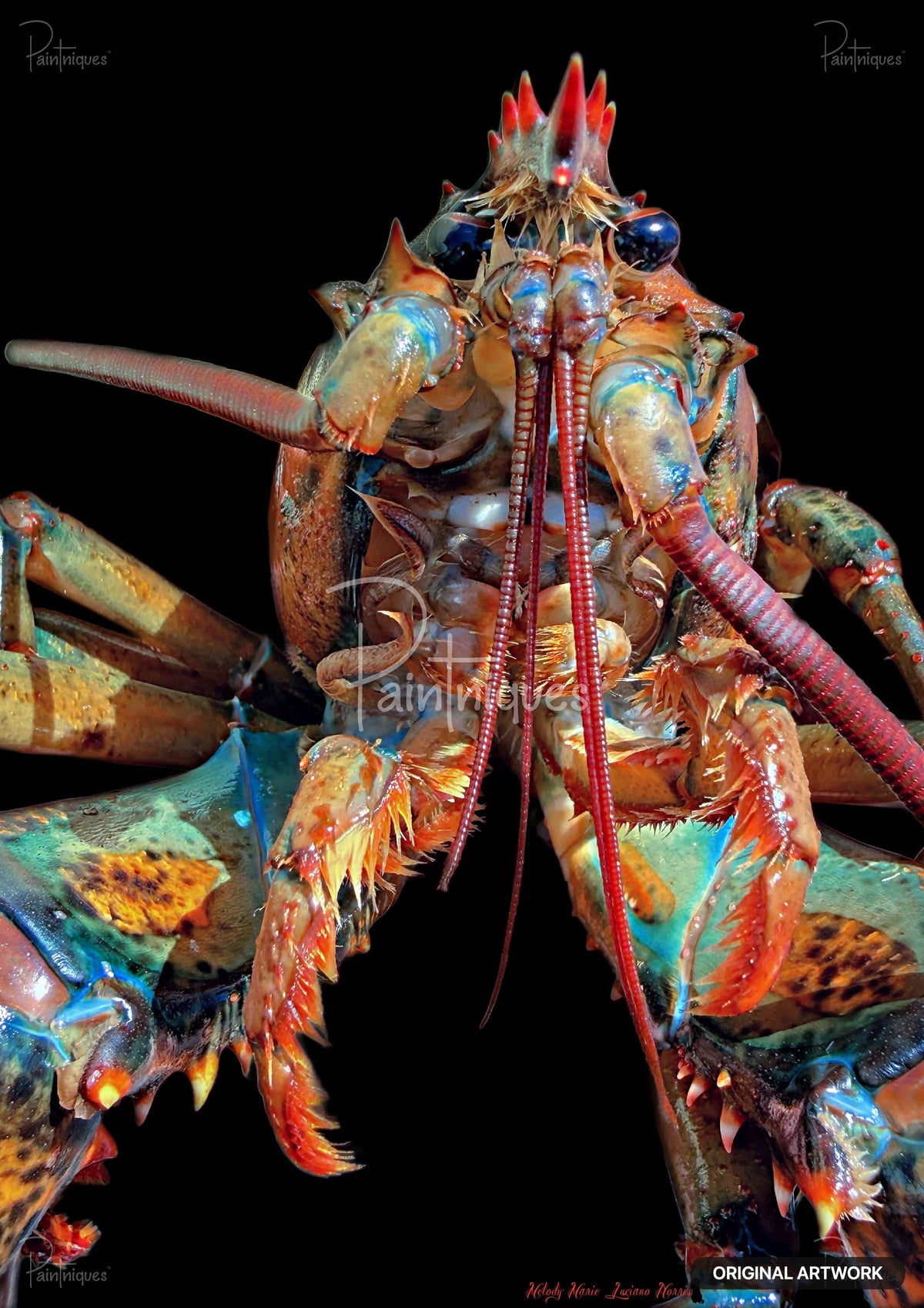 Close-up, front view of a vibrant lobster with red, orange, blue, and green body parts, against a black background.