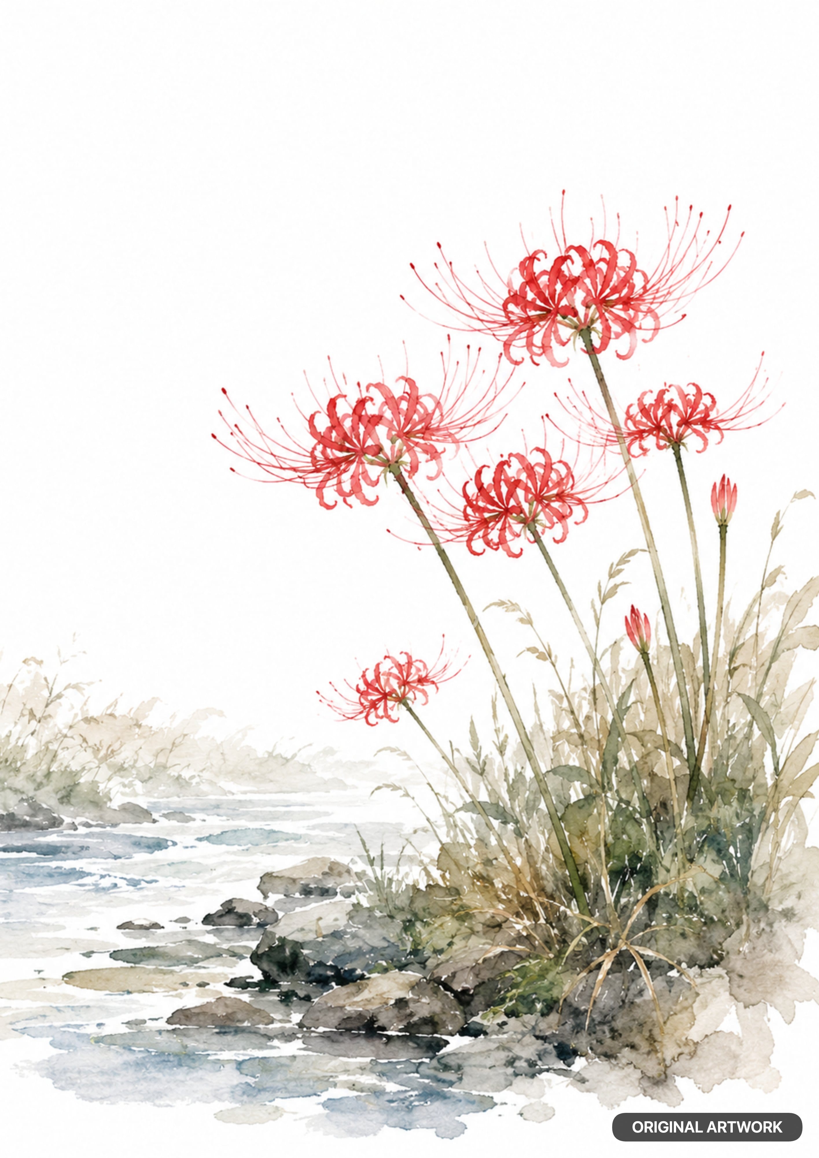 Watercolor painting of spider lilies along a rocky riverbank, with tall green-brown grass.