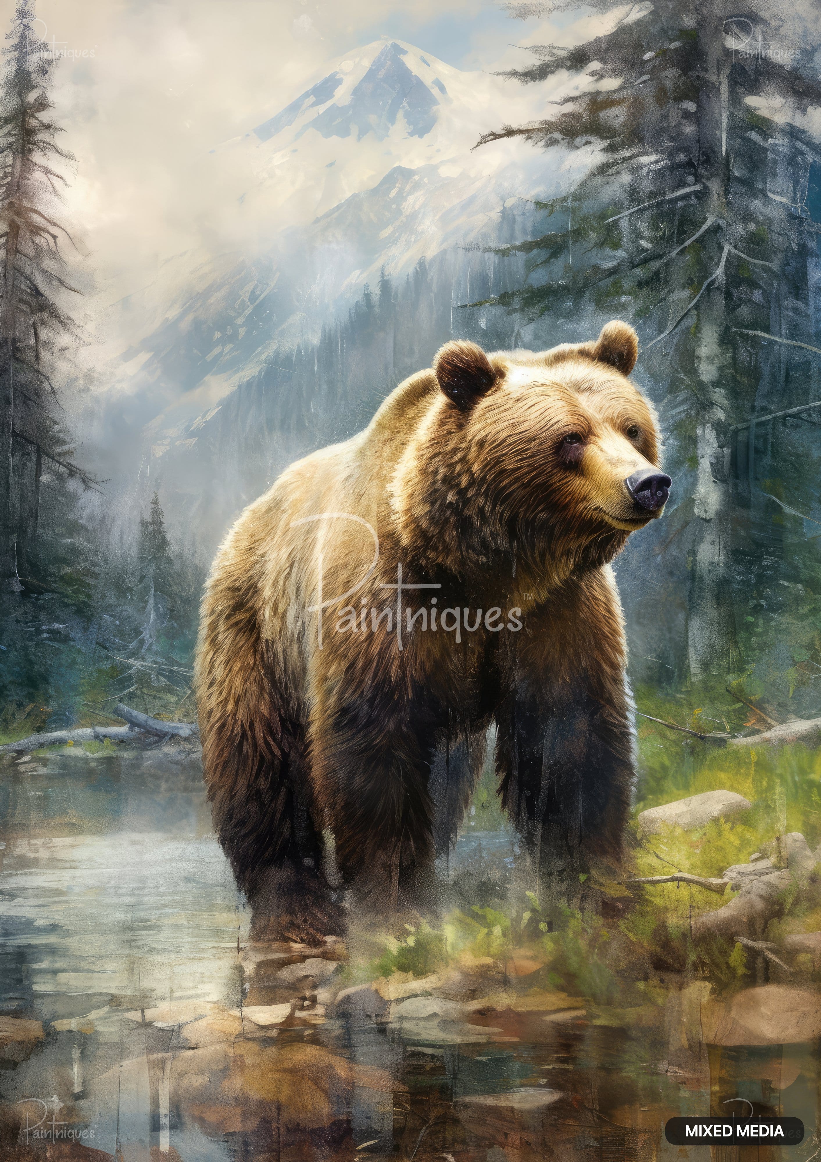 A grizzly bear stands in a misty stream with evergreen trees and a snow-capped mountain in the background.