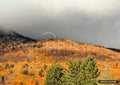 Mountain landscape with hills covered in vibrant orange and yellow autumn trees, with some green evergreens.