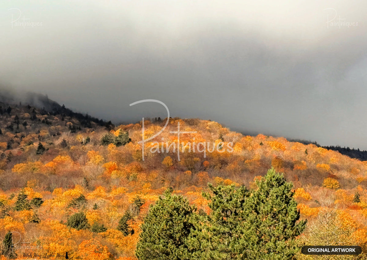 Mountain landscape with hills covered in vibrant orange and yellow autumn trees, with some green evergreens.