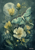 Digital painting of a light blue luna moth with a full moon and white and yellow flowers on a dark teal background.