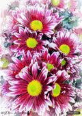 Watercolor painting of numerous pink and white flowers with bright yellow-green centers, surrounded by watercolor splatters.
