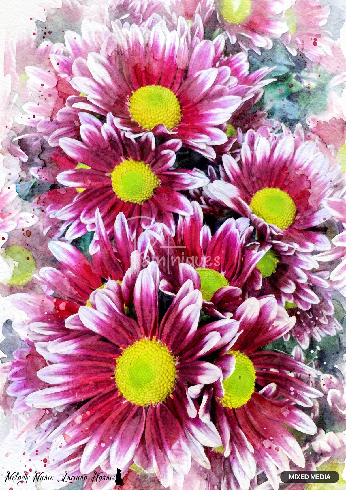Watercolor painting of numerous pink and white flowers with bright yellow-green centers, surrounded by watercolor splatters.