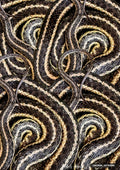 Dense cluster of intertwined snakes with black and pale yellow stripes coiled together.