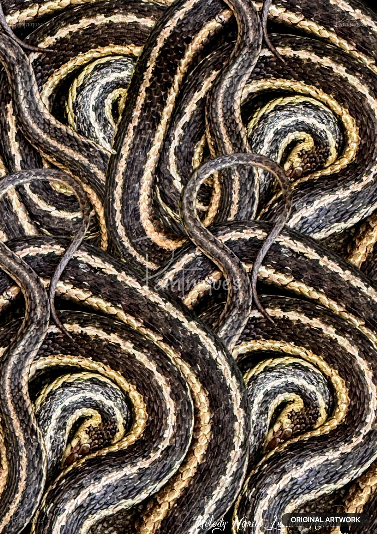 Dense cluster of intertwined snakes with black and pale yellow stripes coiled together.