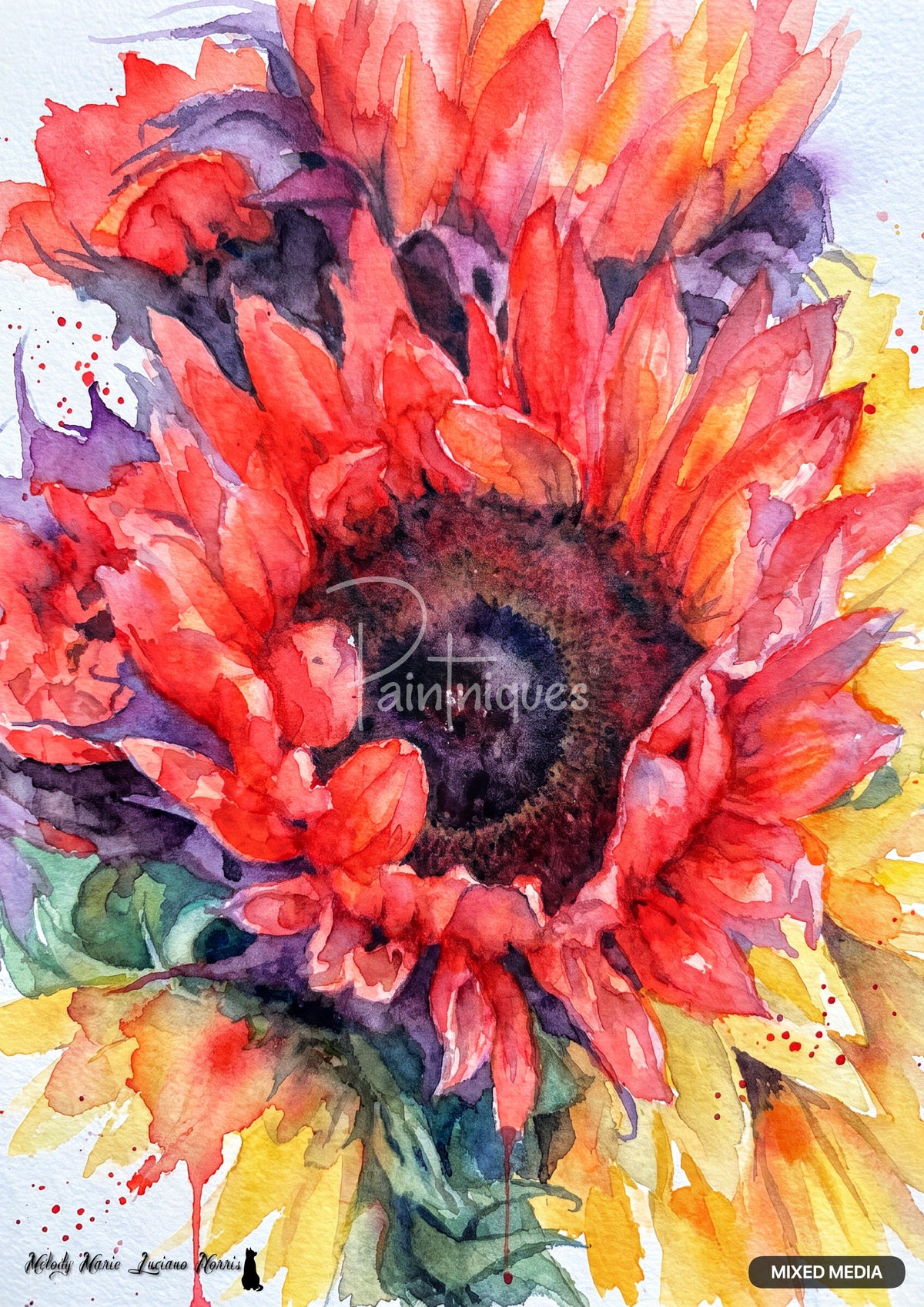 Close-up watercolor painting of a red sunflower with a dark center, surrounded by purple and yellow petals.