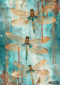Three translucent dragonflies are stacked vertically on a teal background with bronze, red, and brown accents.